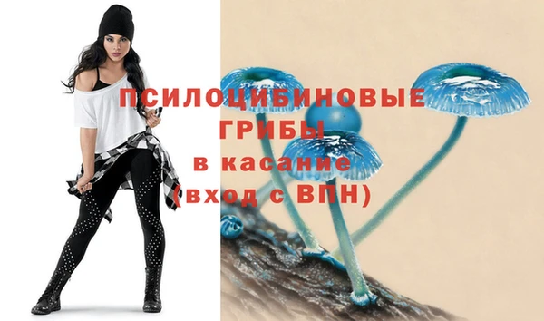 a pvp Абаза
